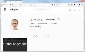 Instagram im Webbrowser mit Bildern füttern